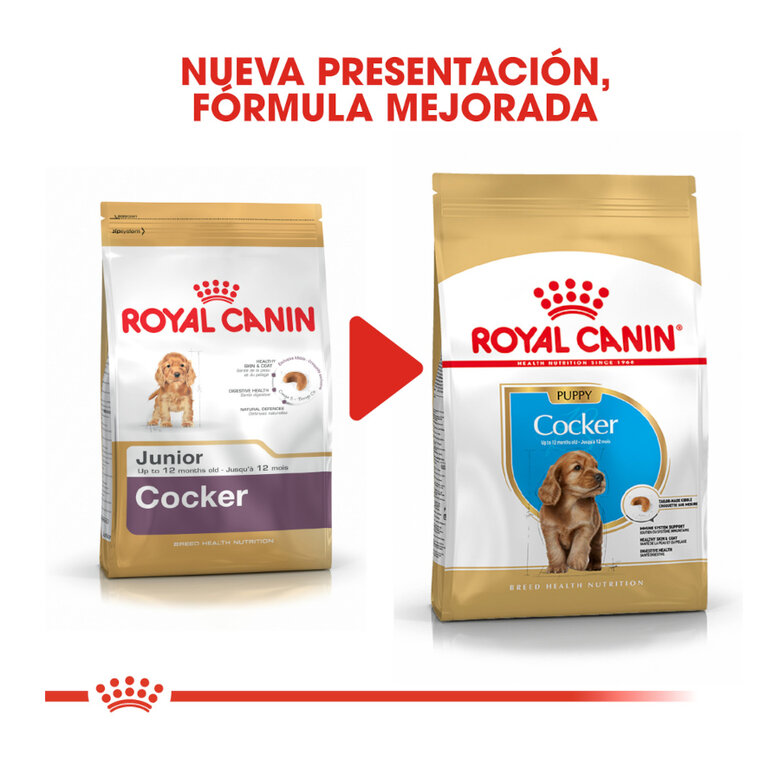 3 kg Royal Canin Puppy Cocker ração para cães,  Imagem número 3 3 kg Royal Canin Puppy Cocker ração para cães, , large Imagem número 3